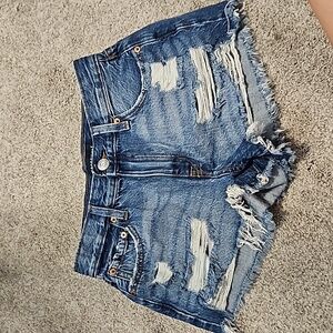 Vintage High Rise Shorty